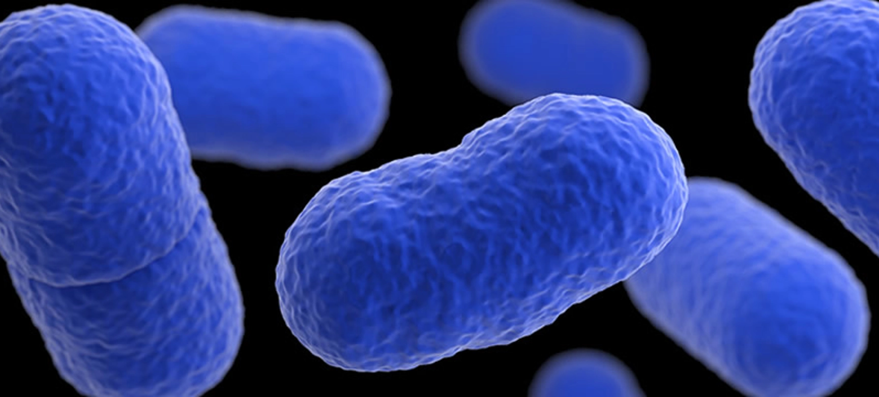 AOAC certification of listeria assay - pathogen